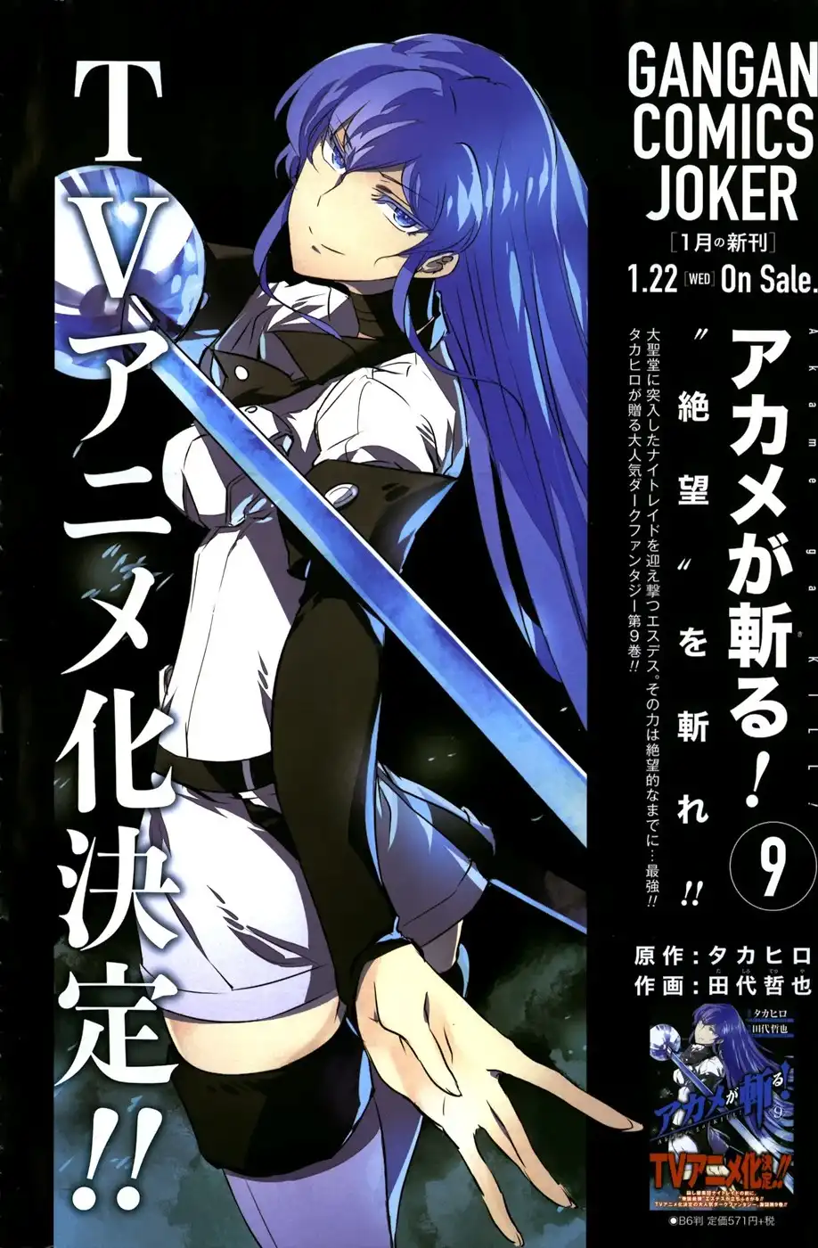 Akame ga Kill! Chapter 45 5